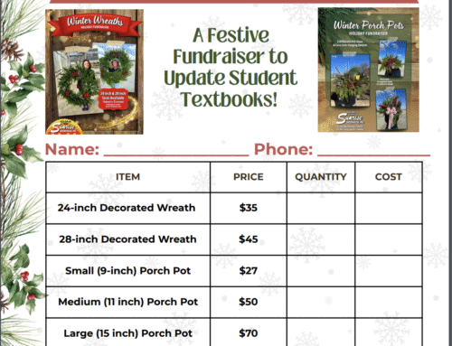 MHR Winter Wreath and Porch Pot Sale